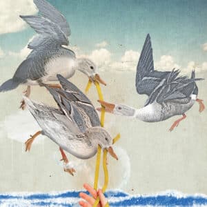 A odisseia de Penélope