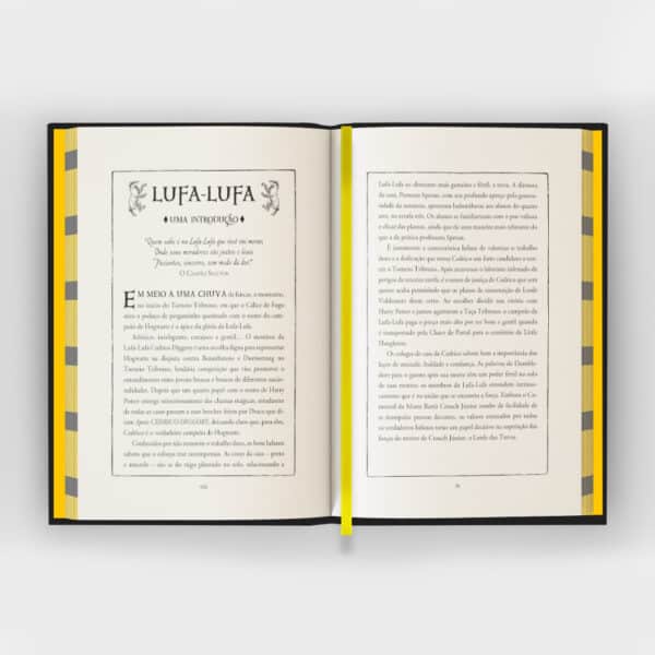 Harry Potter e o Cálice de Fogo