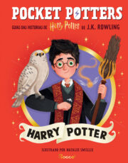 Pocket Potters: Harry Potter