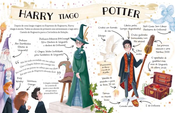 Pocket Potters: Harry Potter