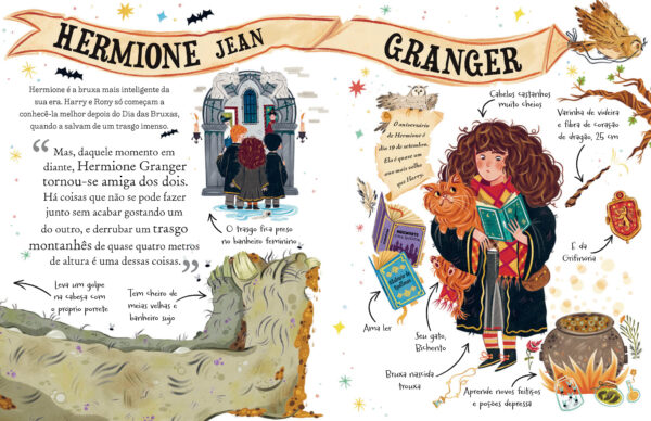 Coleção Pocket Potters (3 livros com sacola)