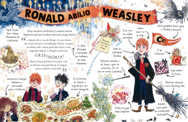 Coleção Pocket Potters (3 livros com sacola)