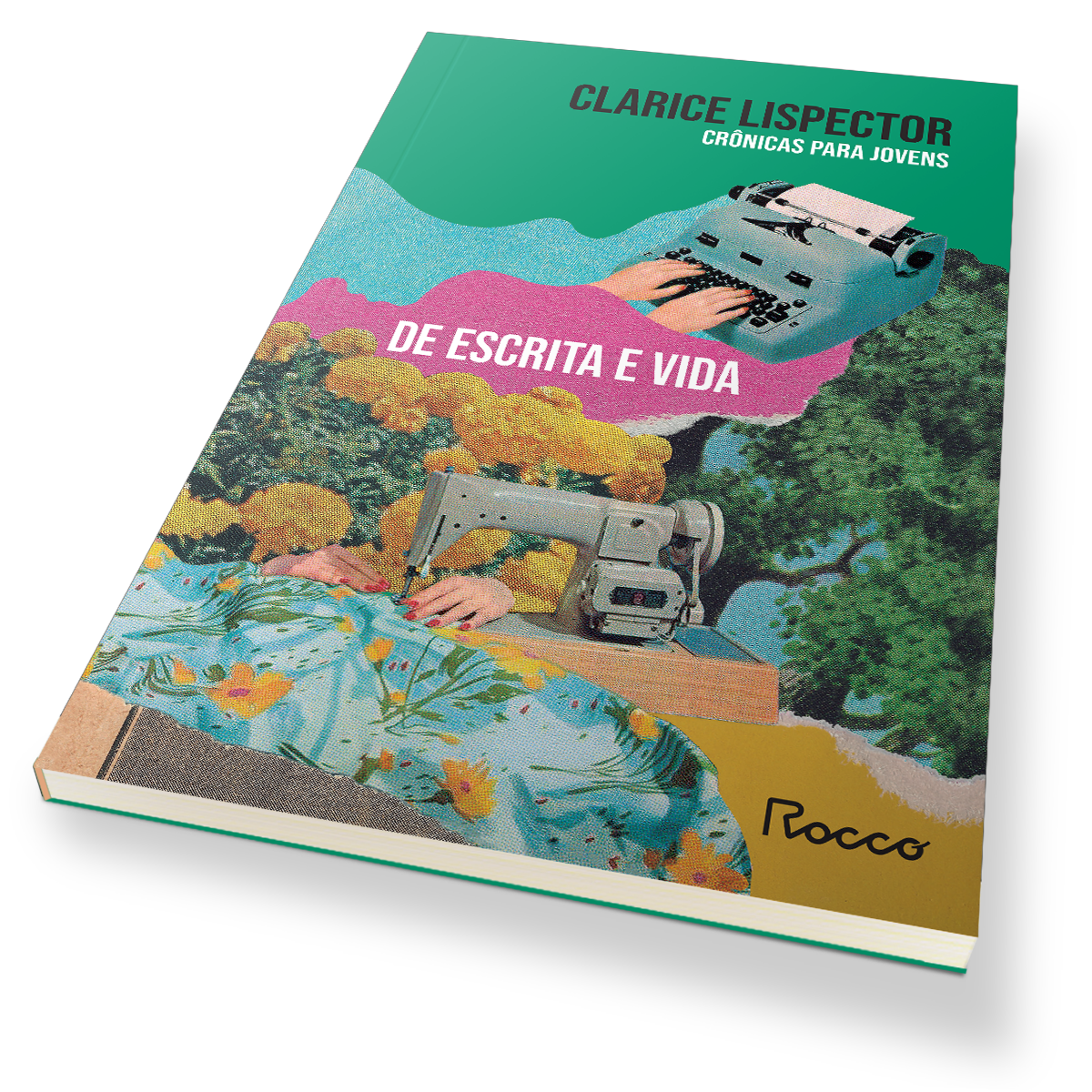 Crônicas para jovens: de escrita e vida