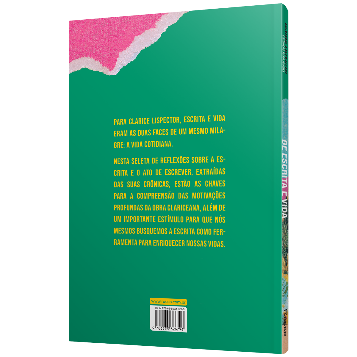 Crônicas para jovens: de escrita e vida