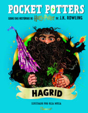Pocket Potters: Hagrid